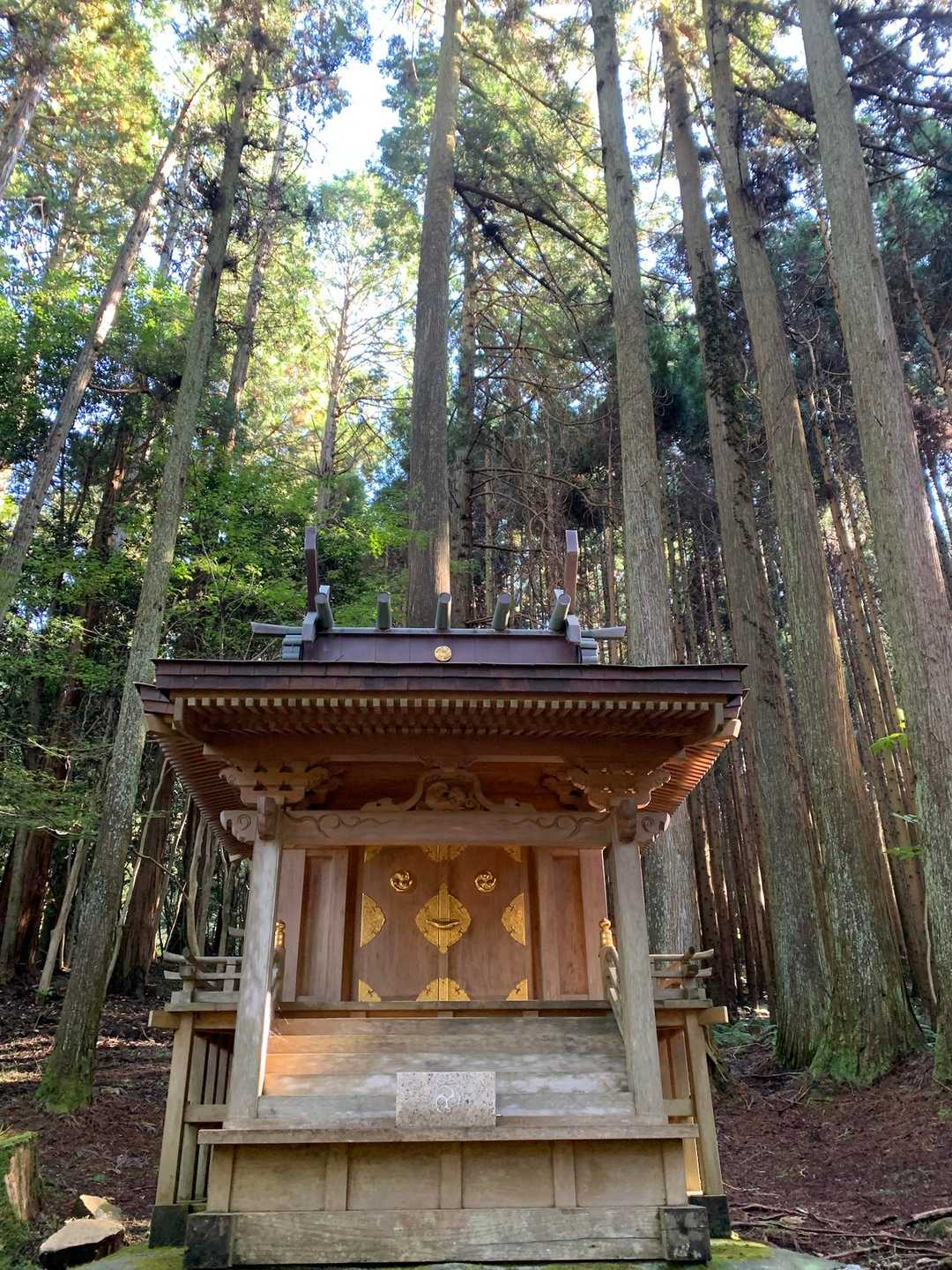 御岩山 往復コースの写真