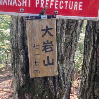 大岩山を通過
このピークの前後はザレた急斜面です。