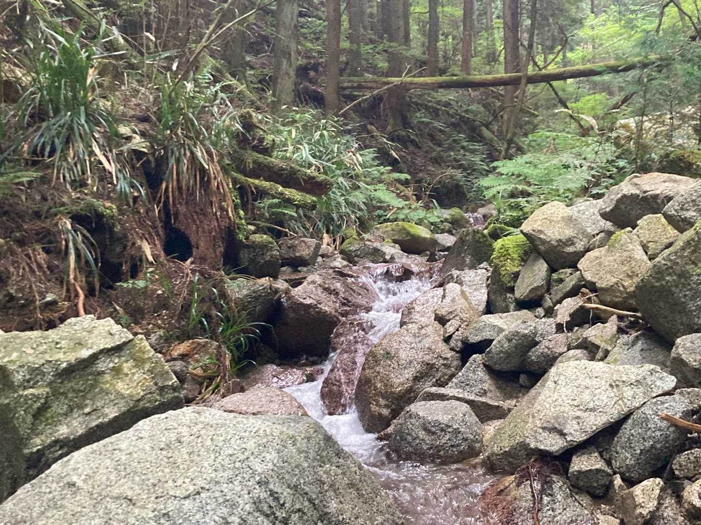 暑い時は水の音を聞きながら歩くのが良いですね。