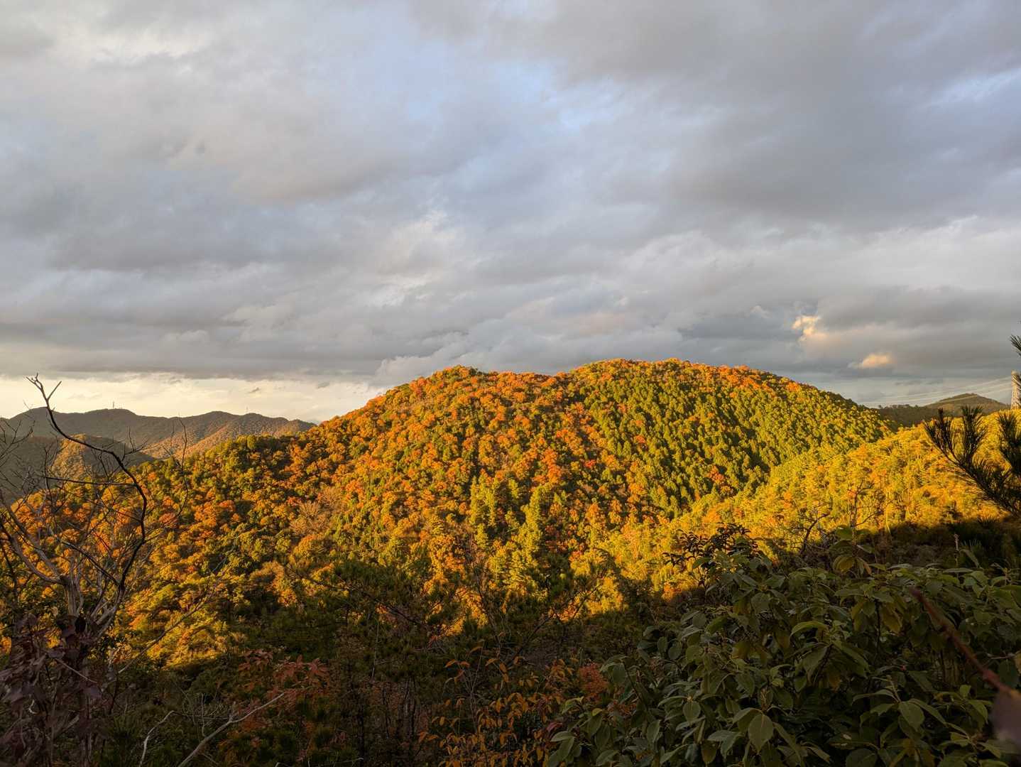 夕陽に照らされた紅葉