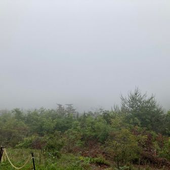 霧で何も見えず