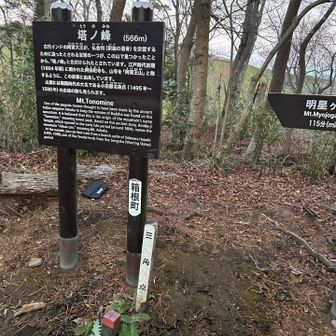 ここまでくると一安心　今年も頑張ろう！
(誰にも会わず)