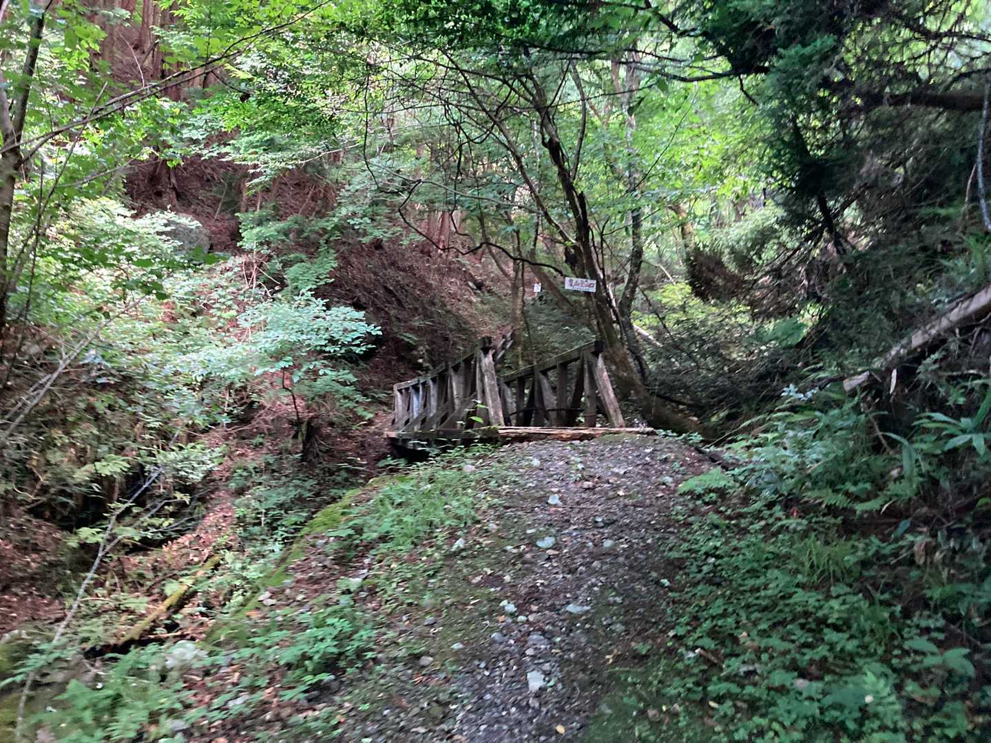 井水山 周回コースの写真