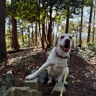 四等三角点『勝ケ谷』