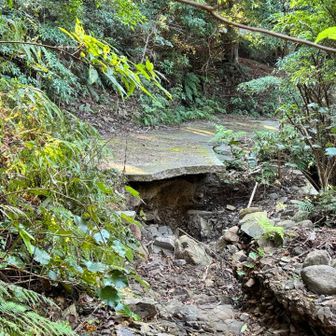 やっと林道に出ました😩
行けましたけど崩落箇所