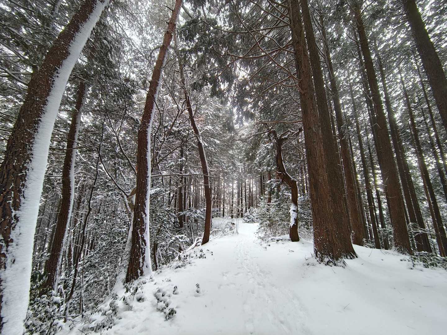 すっかりボッチになれて、景色を楽しみながら下山です😌