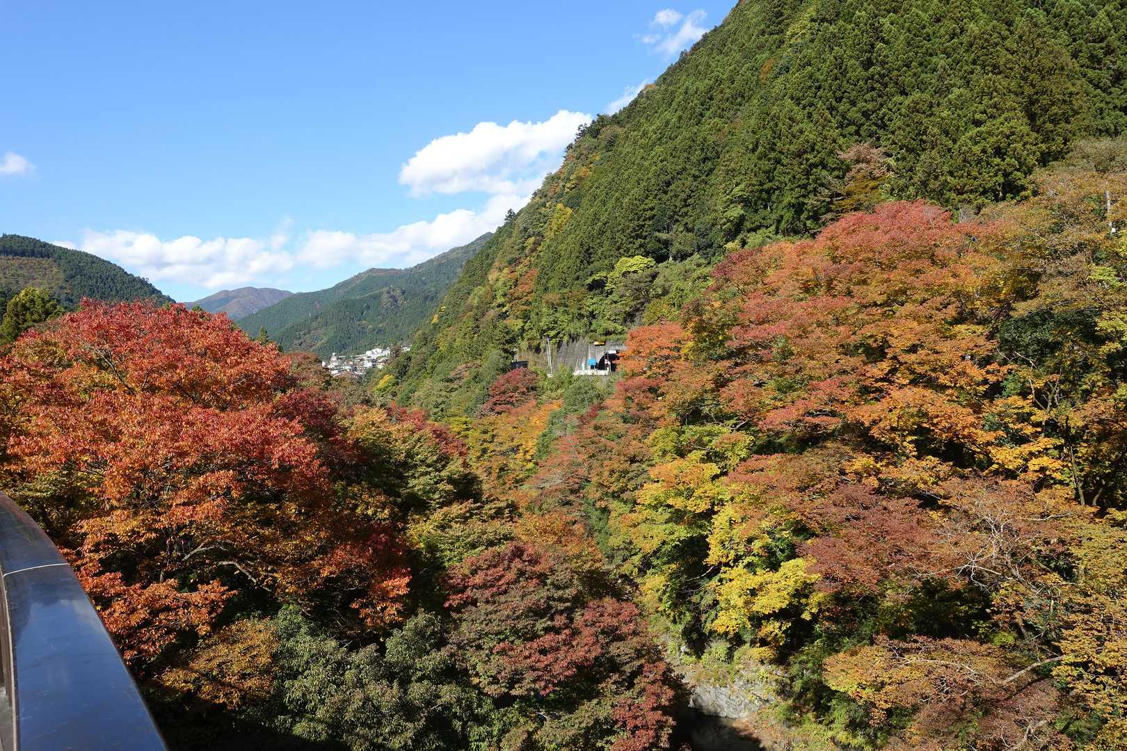 【フラット登山】大多摩ウォーキングトレイル　渓谷美と焚き火を楽しむの写真