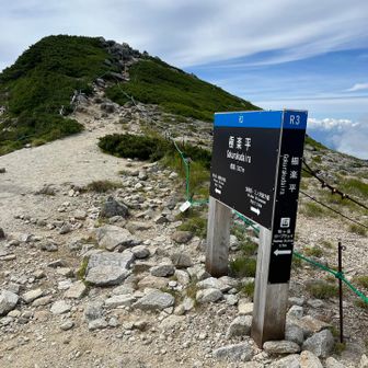 極楽平に戻って来た
千畳敷に戻ってロープウェイに乗ると楽なんだけどなあ（まだ迷う😂）今日はそのまま縦走します