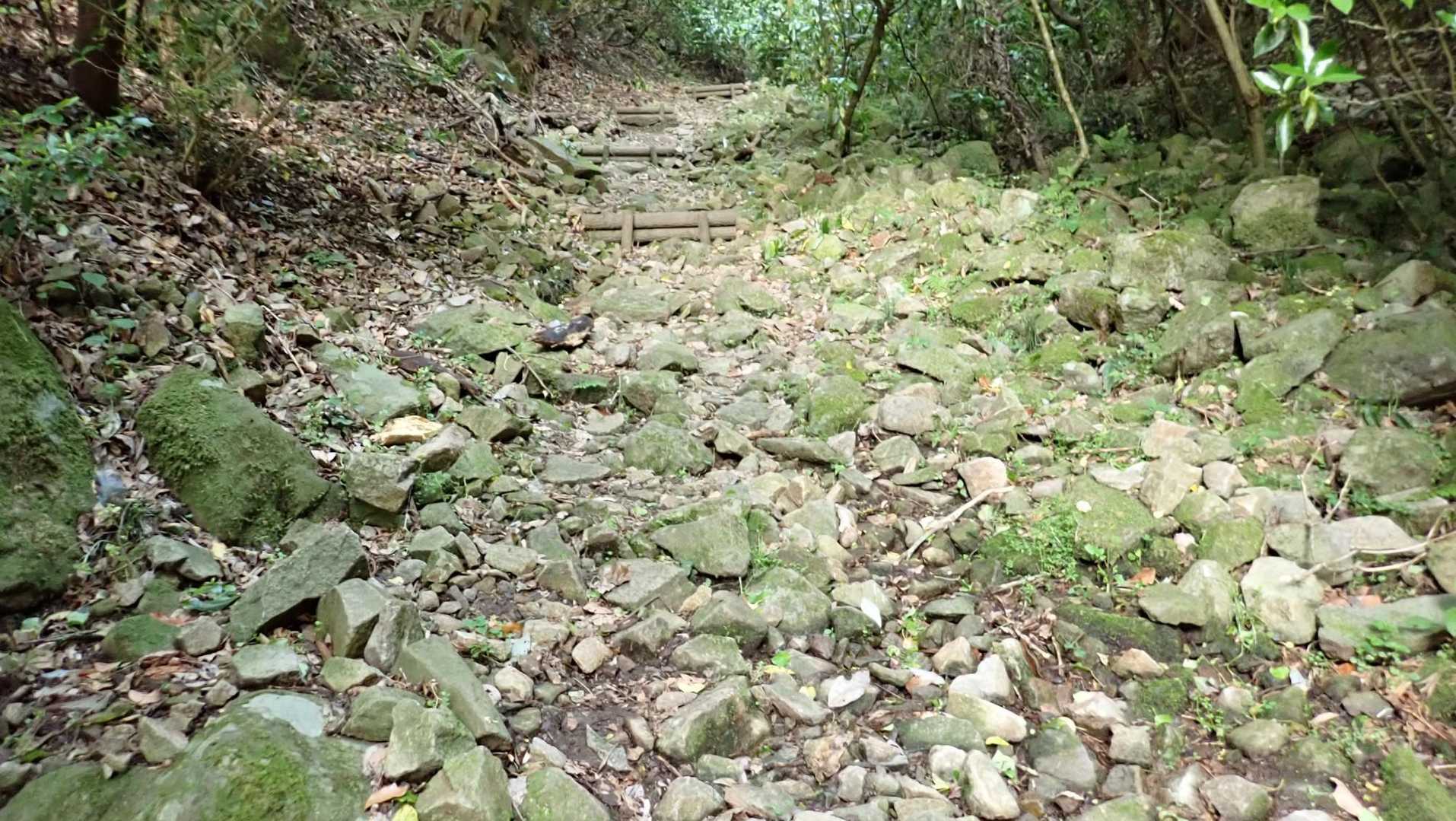 谷筋なので眺望無し、陽射し無し、風無し。
だらだら続く登りをのんびり歩く。