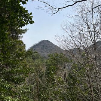 山頂が見える👀