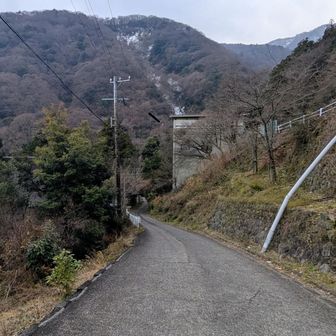 ☂️降ってきました
予報より速い💦