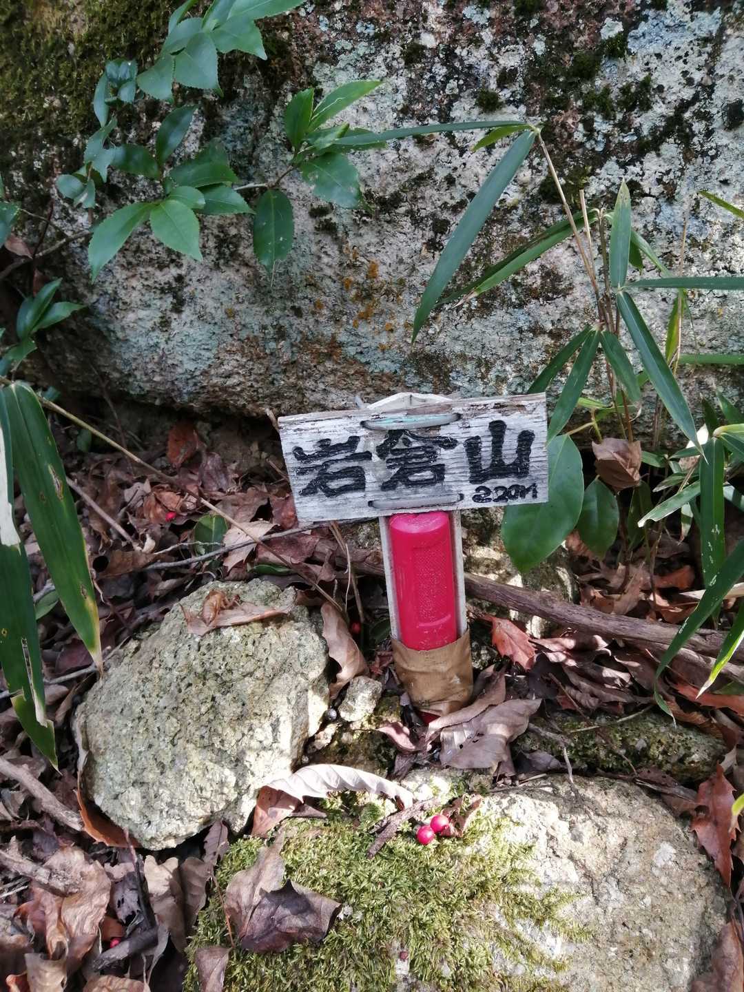 残念ながら山頂は眺望無しです😢