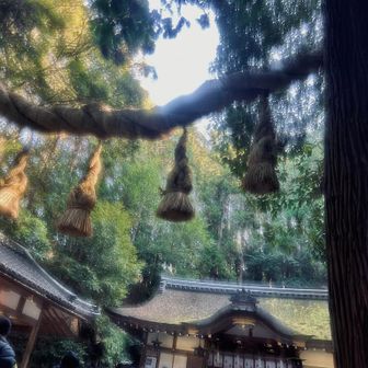 無事に登拝🙏してきました👏
清らかな自然⛰️の中を黙々と歩く🚶事で心身共に浄化された気が…😌