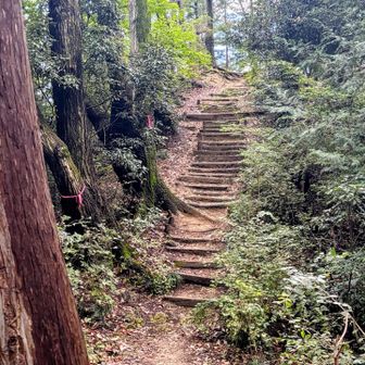 前にはこれから登る階段