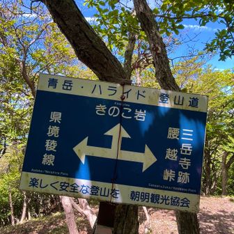 きのこ岩へ