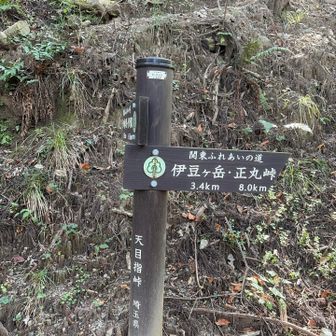 天目指峠