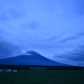 ハマ