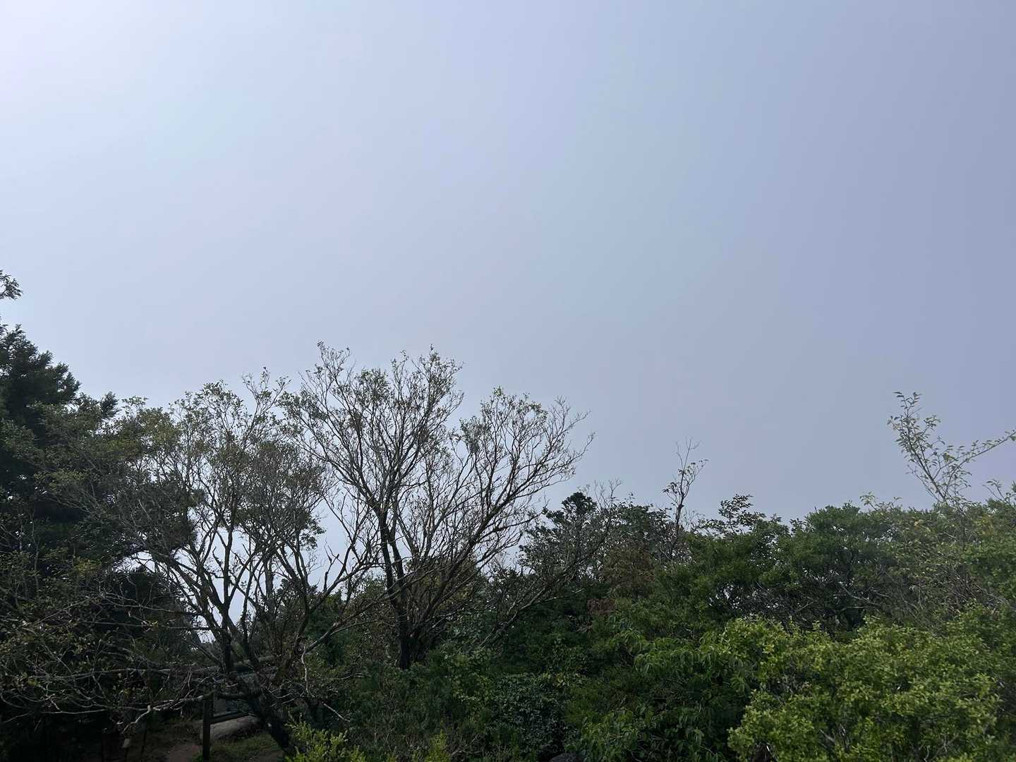 登山口に向かう時あんなに晴れてたのに
ここはホワイトスクリーン😇
何も見えません