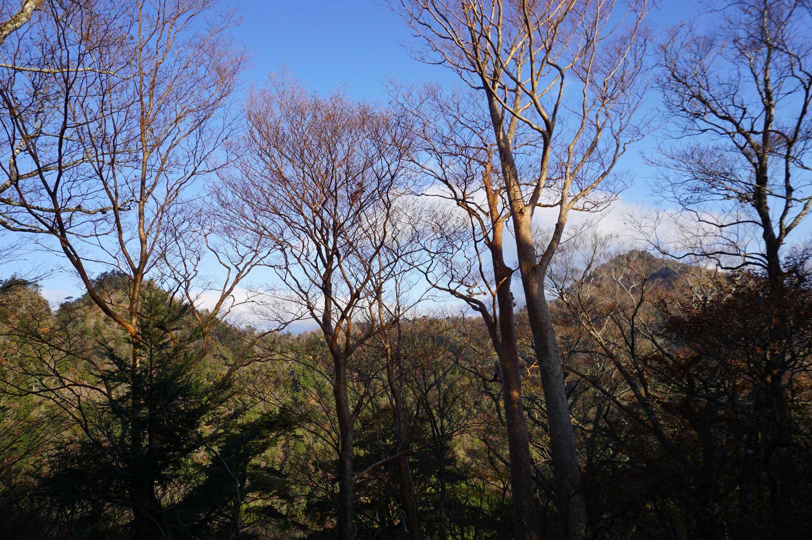 左が小鋸の尾根、右は桧山