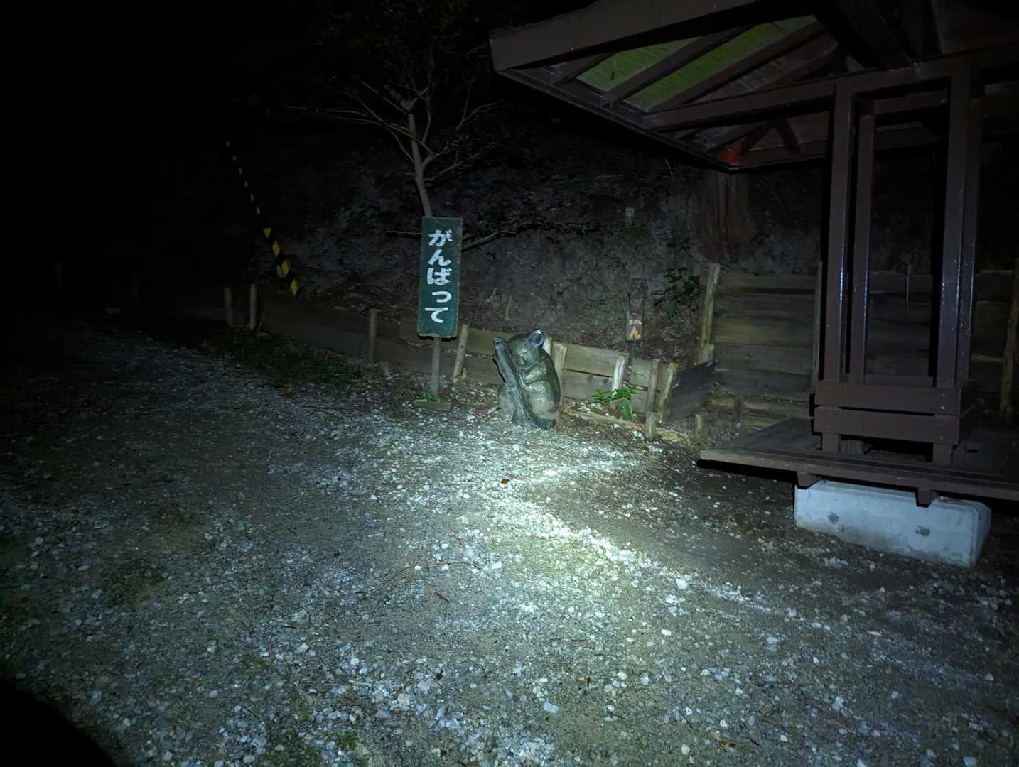 八ヶ丸山 往復コースの写真