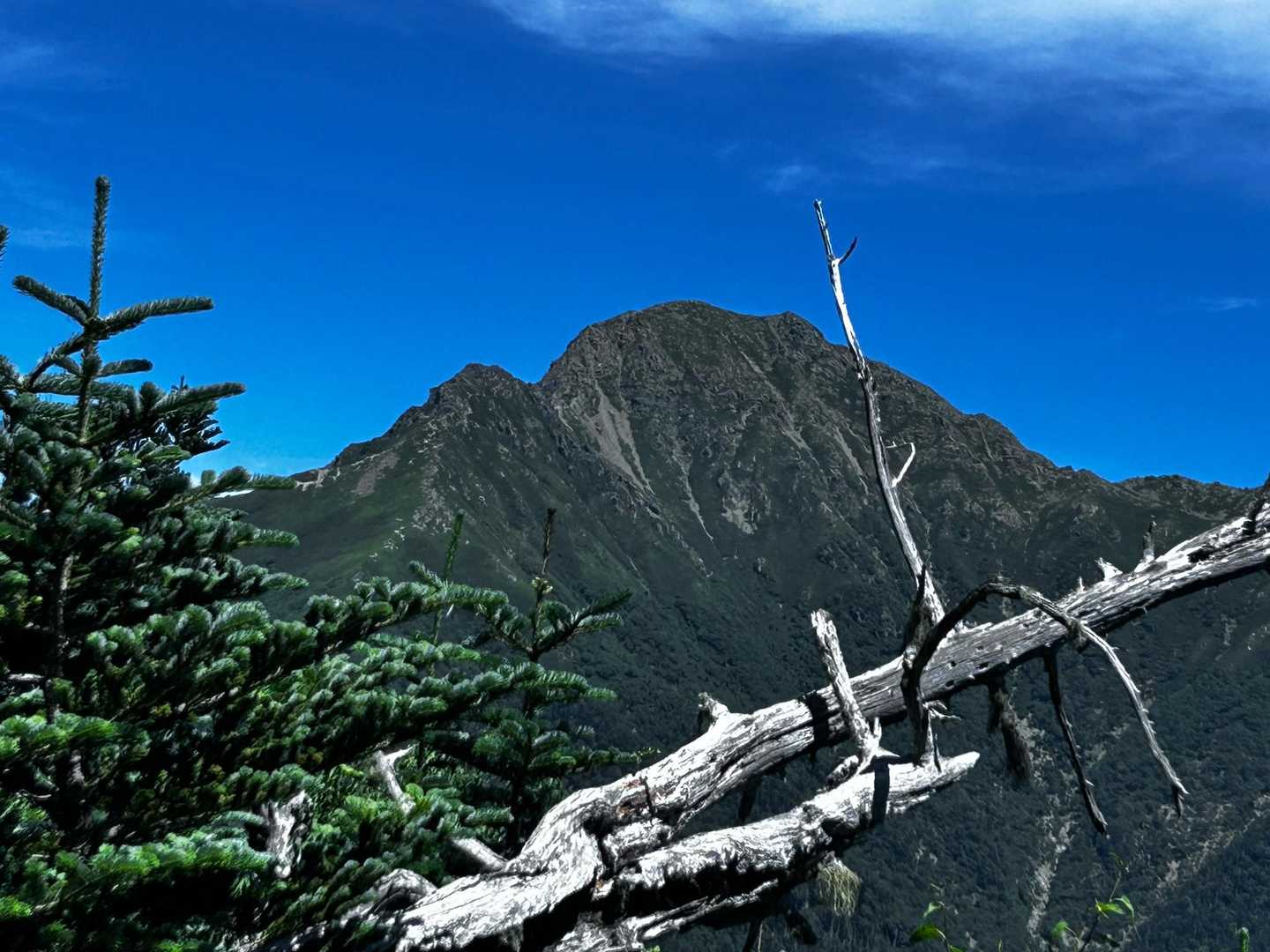 越路バス停-鳥倉登山口-三伏峠-三伏山-本谷山-塩見岳-塩 往復コースの写真