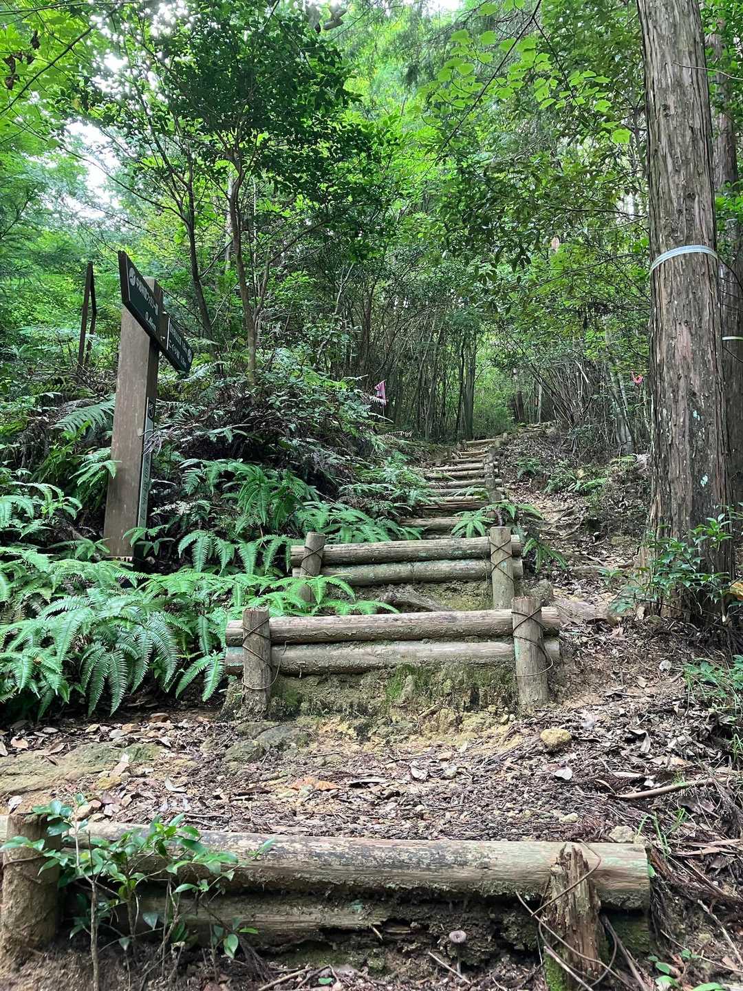 水分補給と休憩こまめにしながら
山頂めざしていこー！