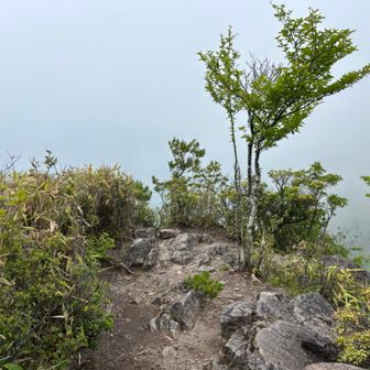 ここが三ツ岩。晴れていれば眺望良さそう。