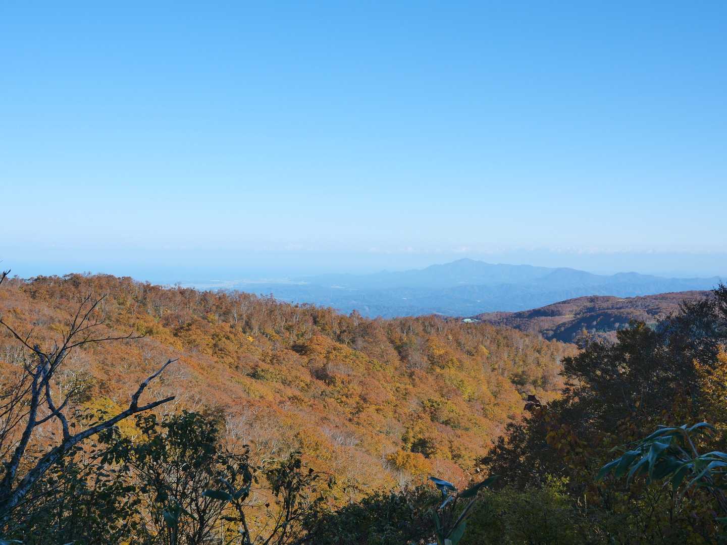 鍋倉山に向かいます
一味同心は帰りたさそう