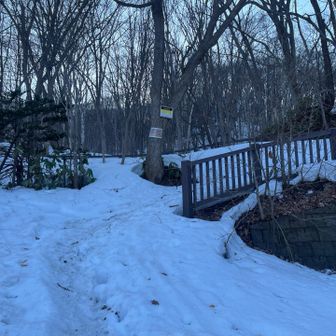 ようやく下山完了。
正直慈啓会コースは慣れてれば夏靴でも全然行ける。
でも旭山記念公園コースはまじでシャレにならん。
夏靴ダメ絶対。