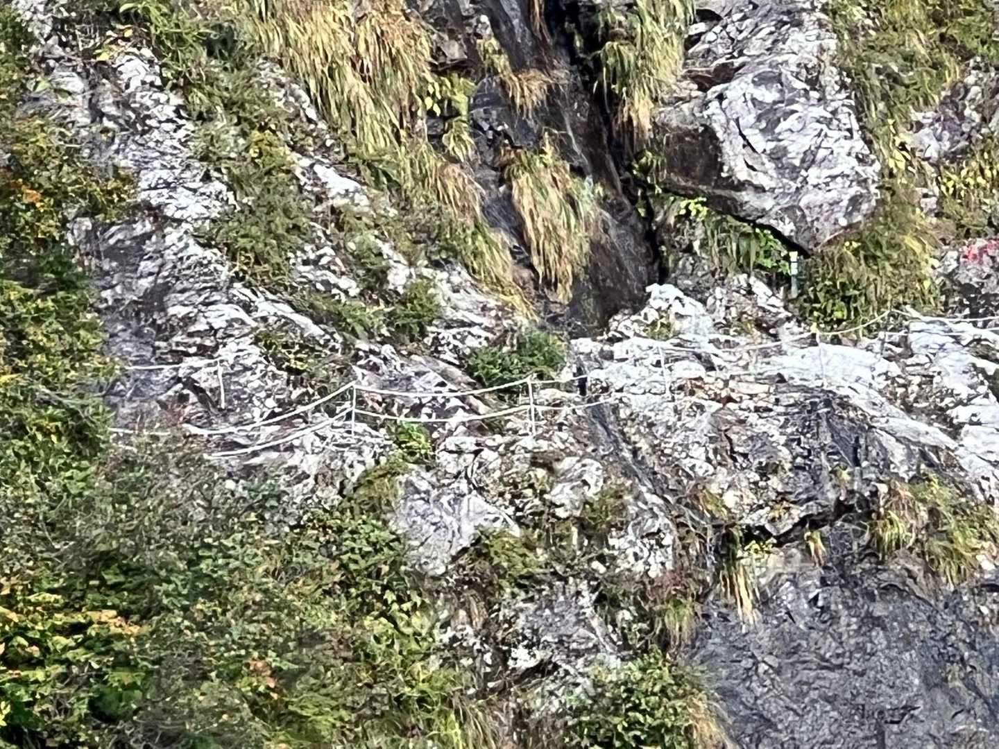 倉沢登山口-摩耶山 往復コースの写真