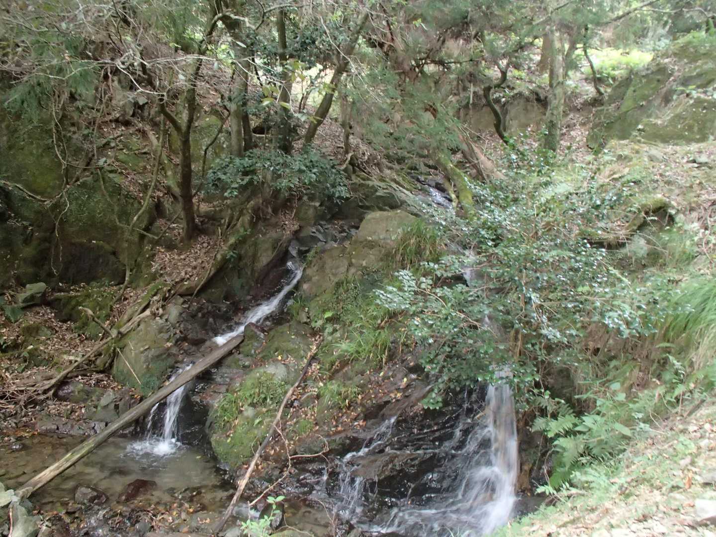 川沿いの林道で登りました
林道を登りに使ってしまったけど、逆回りで下りに使った方が良かったかなぁと後で思いました