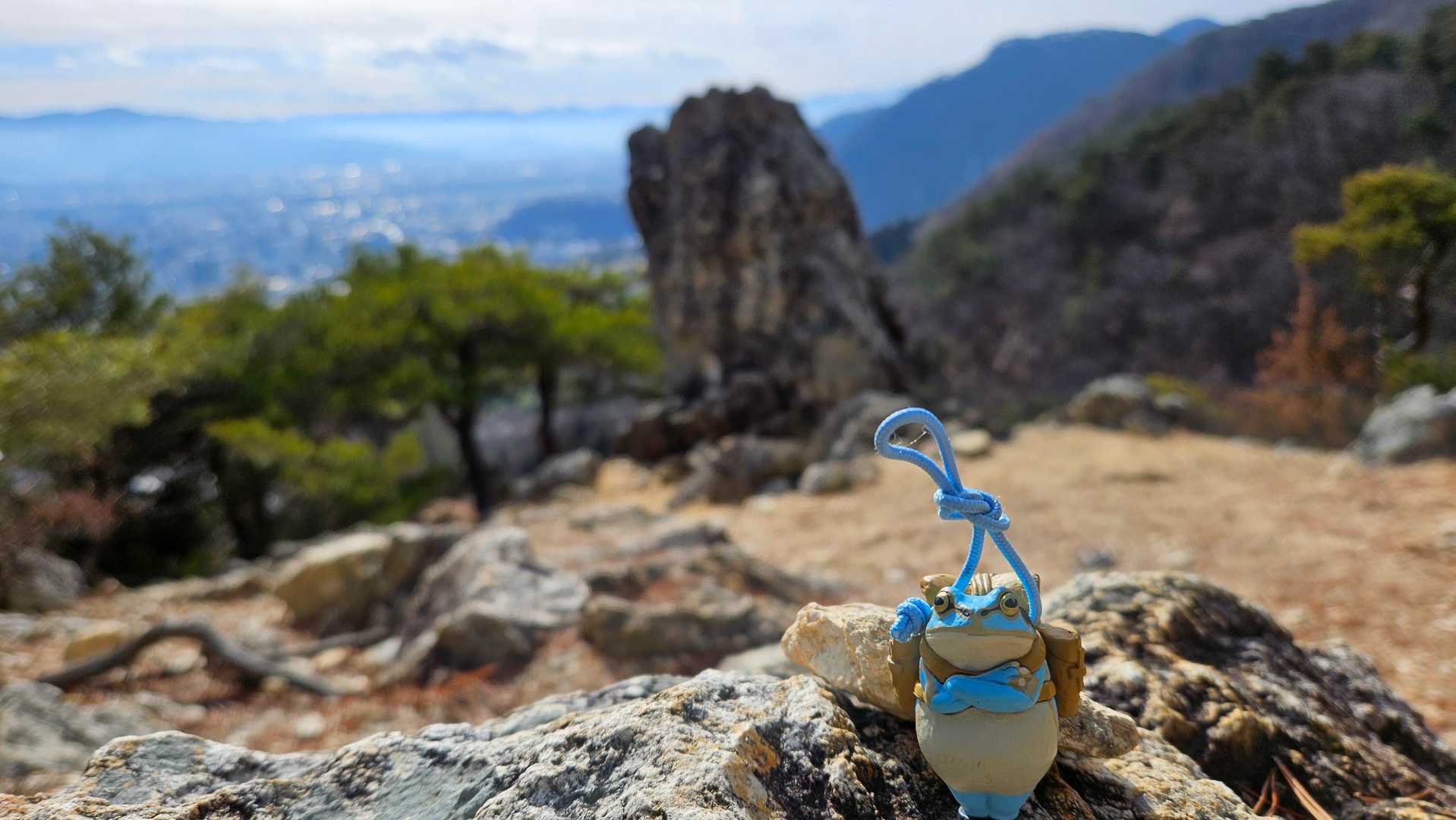金毘羅神社-地附山 周回コースの写真