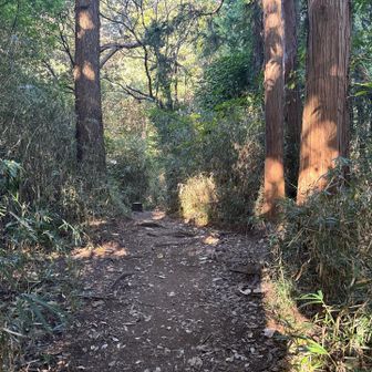 サクッと六国見山！
道路の方が辛かった。