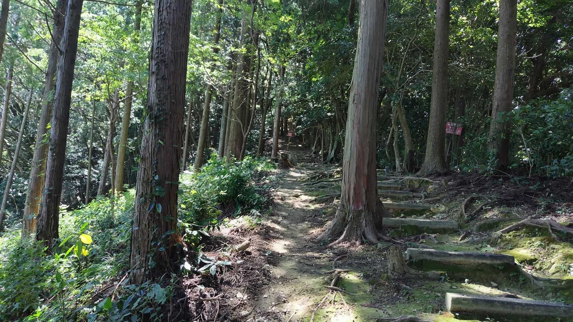 整備かんぺき