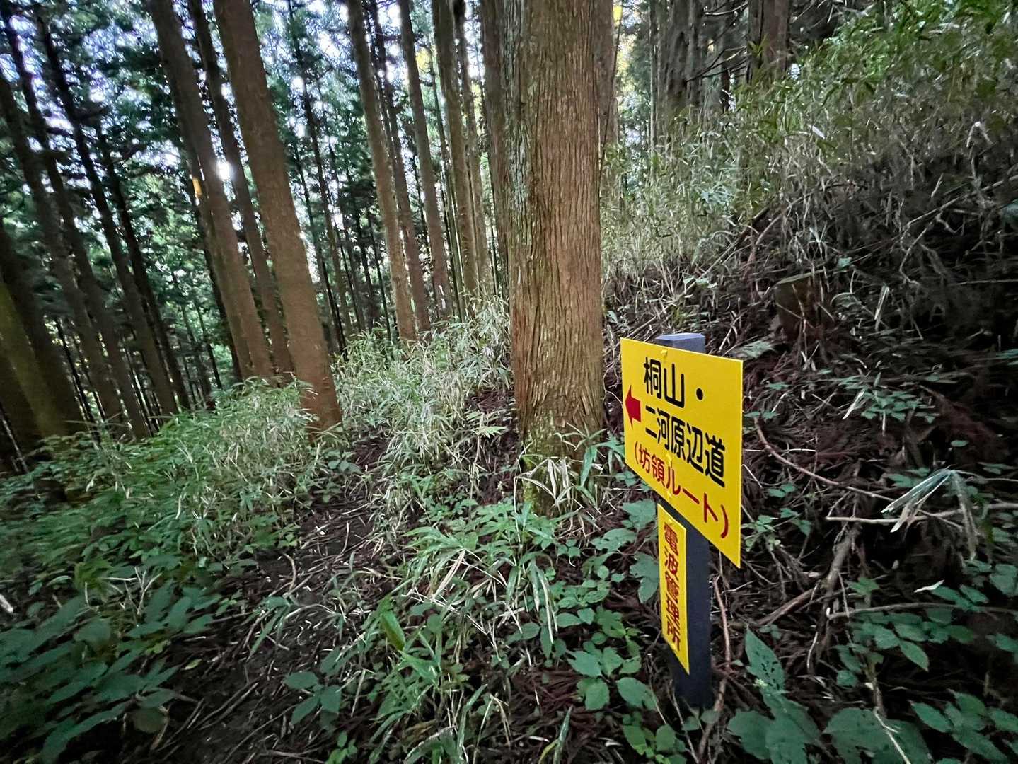 金剛山山頂売店-金剛山-金剛山葛木神社-水越峠バス停 周回コースの写真
