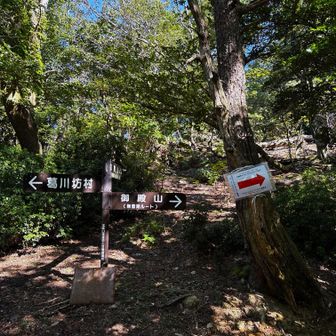 無雪期ルート[夏道]を進む➡今日はトレラン大会があるらしく登山道のあちこちに案内の表示がある