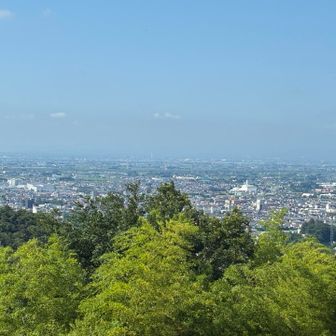 ここからの眺めは最高！冬ならスカイツリーも見えちゃう( › ·̮ ‹ )
