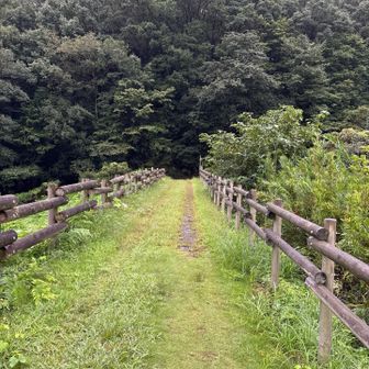 とうちゃこ❗️汗活💦雨降らず､
脂が吹き出ました💦💦💦