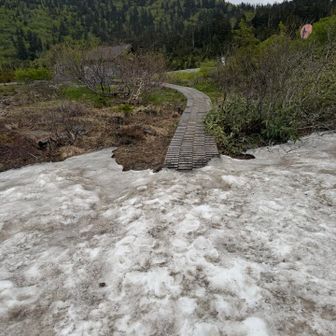 その先には、バス停に続く木道が見えた