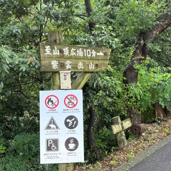 10分ほどで頂上に着きます