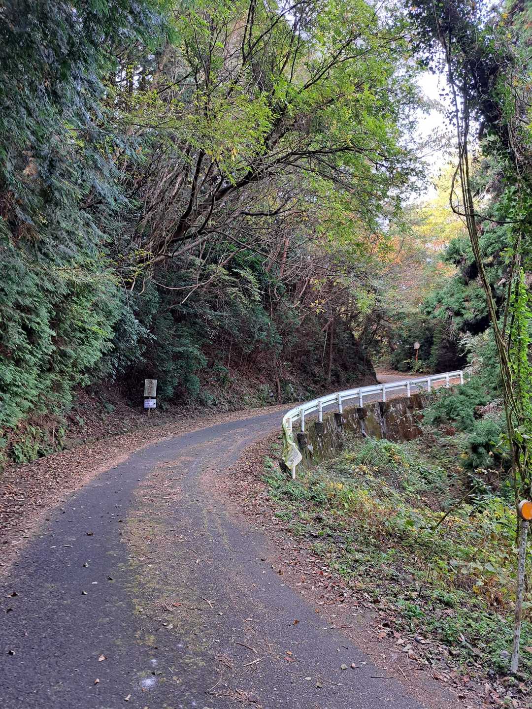 違う道から下山。ひたすら車道歩きです。
ここで気がつく、山頂行ってない((( ；ﾟДﾟ)))　神社が山頂かと思ってました。
引き返す根性はないけど、50メートルまで近付いていたので大丈夫と確信しました。