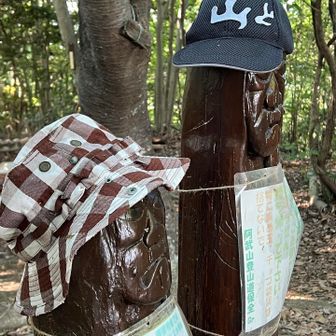 見納めになりませんように
帽子、節分の鬼の面、ハロウィンのマント・・・誰かがやってくれるかな。「山と」は山と渓谷のことです。