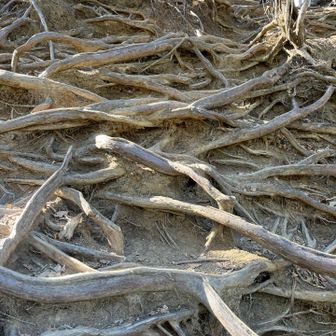 京都の貴船にもあった？