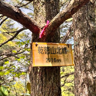 眺望なし