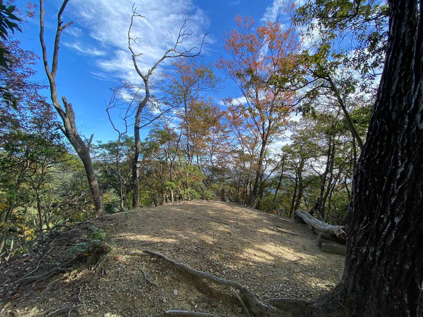 地蔵岳頂上。
ここから下ります。
