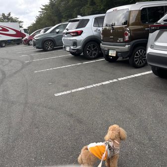 駐車場まで戻ってきました