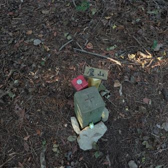 なんちゃって山頂