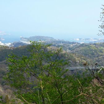 ここは展望が良く、眼下に横浜横須賀道路・奥には横須賀港の様子などが確認できます。