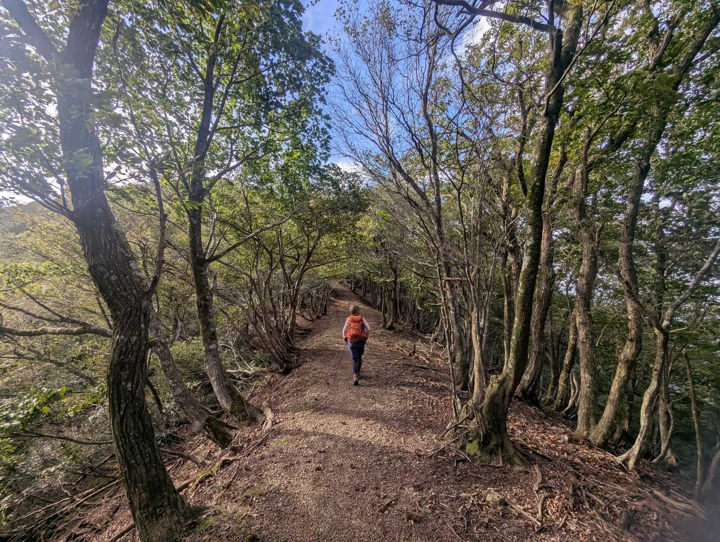 とても綺麗に整備されています🥾