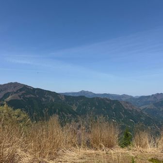 日名倉山▲山頂到着🙌

手前の後山の奥、冬に登った天児屋山からも見えた三室山、さらにその奥は氷ノ山も😊